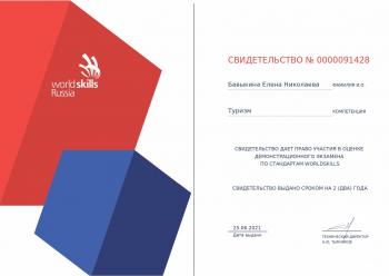 Статус эксперта демонстрационного экзамена по стандартам WORLDSKILLS — Бавыкина Е.Н.