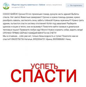 Необходима помощь обществу по защите животных "Преданность"