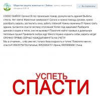 Необходима помощь обществу по защите животных "Преданность"