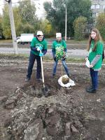 Добровольцы АГГПУ им. В.М. Шукшина приняли участие в благоустройстве новой зеленой зоны