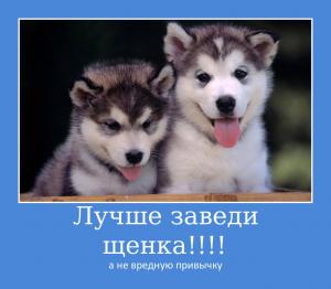 АГГПУ – ЗОНА СВОБОДНОГО ДЫХАНИЯ