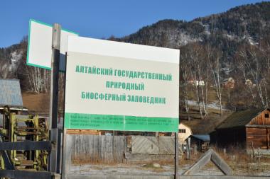 Учёные Университета Шукшина  провели мониторинг авифауны хребта Торот и северного побережья Телецкого озера (Алтайский заповедник)