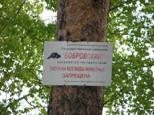 Исследование в области экологии и природопользования Алтайского региона