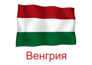 Международный грант Венгрия