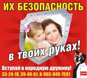 Народная дружина