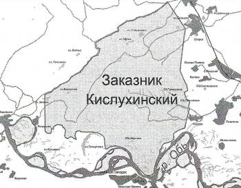Учёные Университета Шукшина  провели исследование биоразнообразия  охраняемой территории Алтая