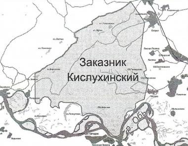 Учёные Университета Шукшина  провели исследование биоразнообразия  охраняемой территории Алтая
